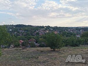 image_11