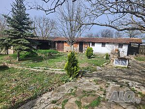 image_11