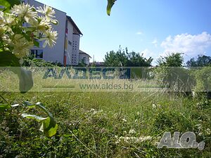image_3