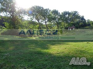 image_3