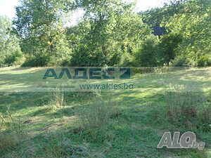 image_6