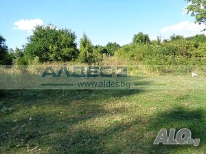 image_7