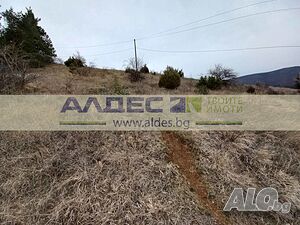 image_3