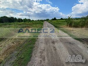 image_5