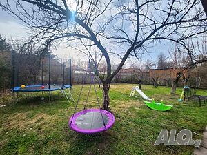 image_6