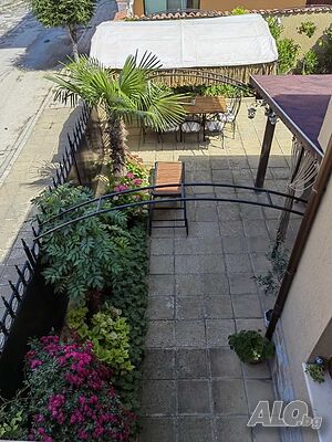 image_12