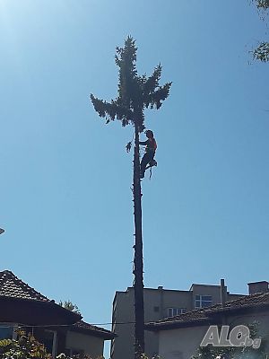 image_8