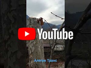 image_12