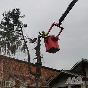 image_4