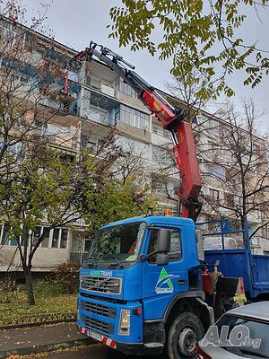 image_7