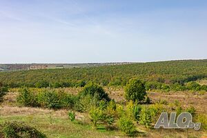 image_14
