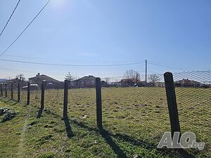 image_5