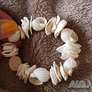 Всико от снимките общо - 7€