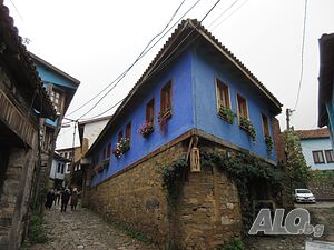 image_9