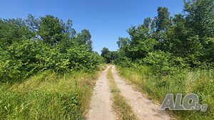 image_5