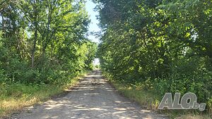 image_8
