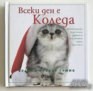 Всеки ден е Коледа - Брадли Тревър Грийв