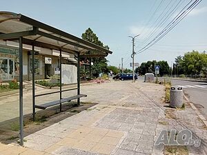 image_10