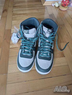 image_6