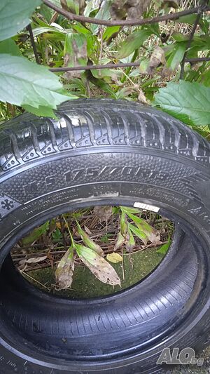 image_4