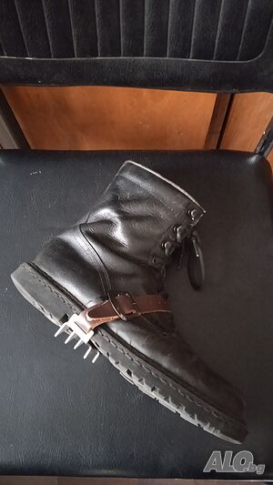 image_8