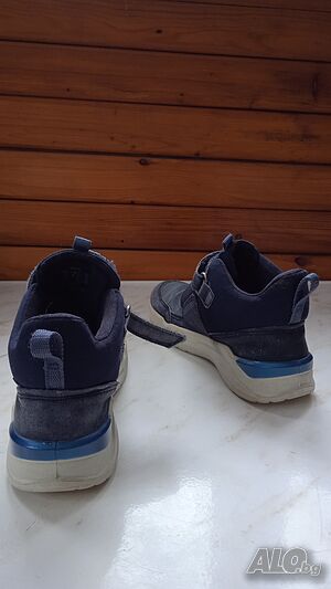 image_7