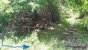 image_2