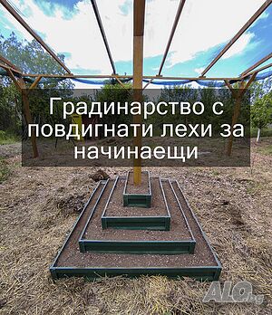 image_11
