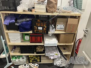 image_11