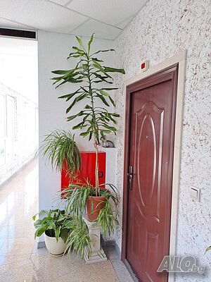 image_6
