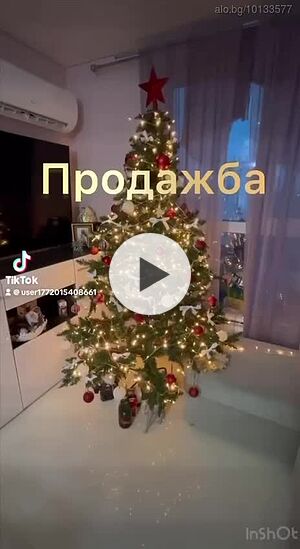 image_11