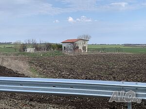 image_5