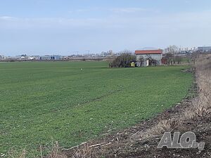 image_7