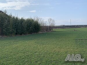 image_8