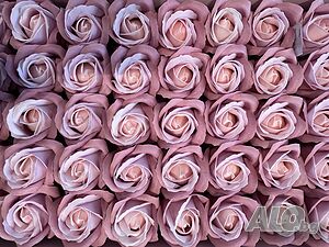 image_14