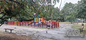image_3