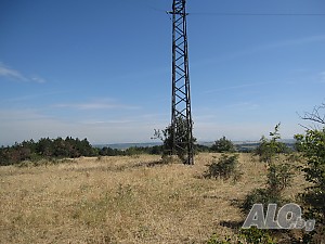 image_7
