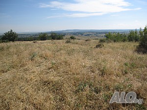 image_9
