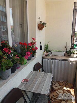 image_5