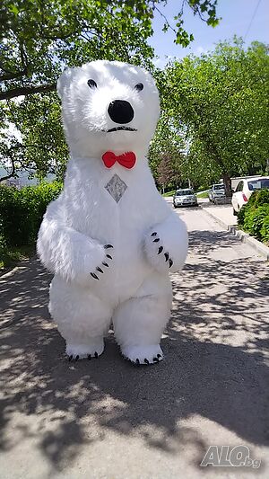 image_2