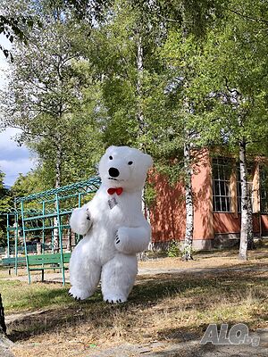 image_4