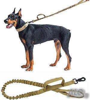 Повод за куче Tactical Bungee Dog Leash 1.5м 50кг Тактическа каишка