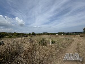 image_8