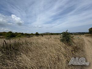 image_10