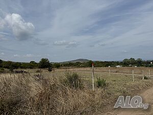 image_11