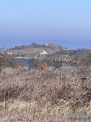 image_13