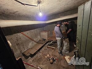 Хамалски Услуги Кърти чисти извозва на Изгодни цени