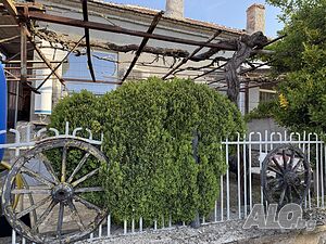 image_6