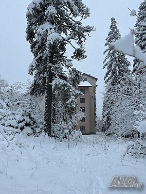 Pamporovo View