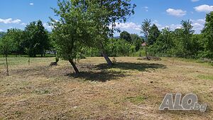 image_10